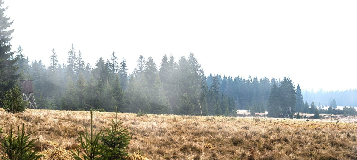 hunting in Scottish fog, Balkan rain, sudden weather changes, waterproof hunting clothes, gear
