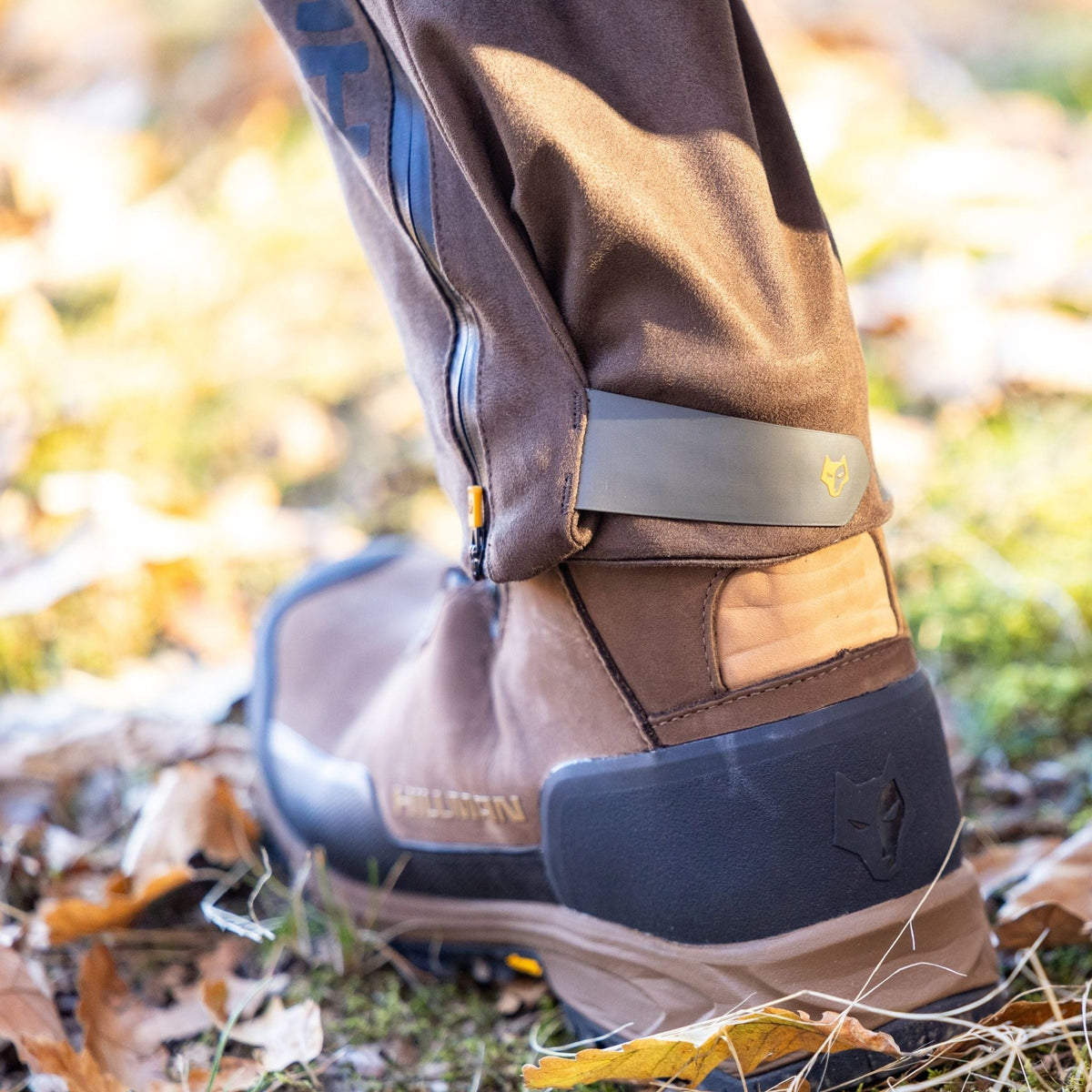 Close-up of waterproof insulated hunting pants ankle cuff over Hillman boot, on an autumn woodland floor