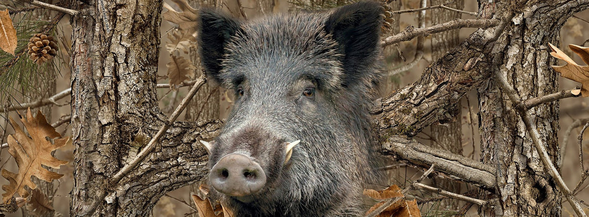 deer and boar hunts on wet mornings, cold evenings: layering waterproof hunting clothes, waterproof hunting jacket, camouflage waterproof jacket, insulated hunting trousers, moisture-wicking base layers