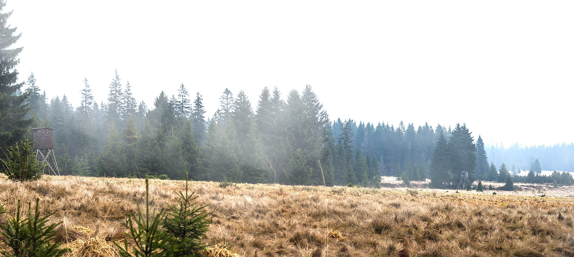 hunting in Scottish fog, Balkan rain, sudden weather changes, waterproof hunting clothes, gear